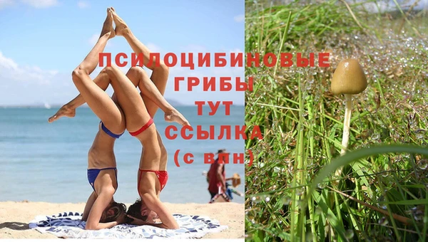 СК Нефтекумск