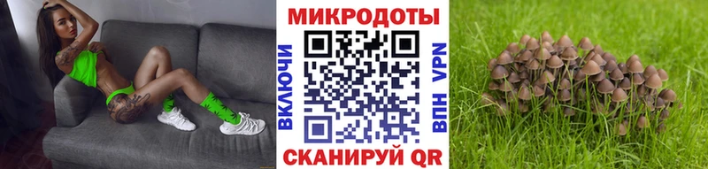 как найти Кремёнки Псилоцибиновые грибы MAGIC MUSHROOMS